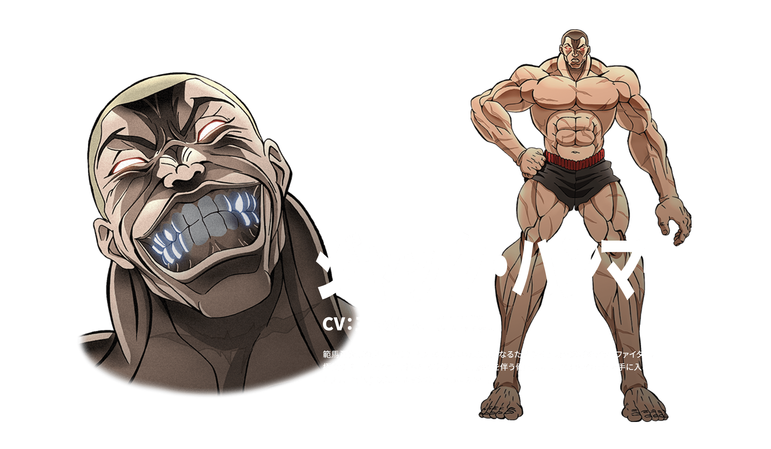 未開封【RDF】 淡 ジャックハンマー 範馬刃牙
